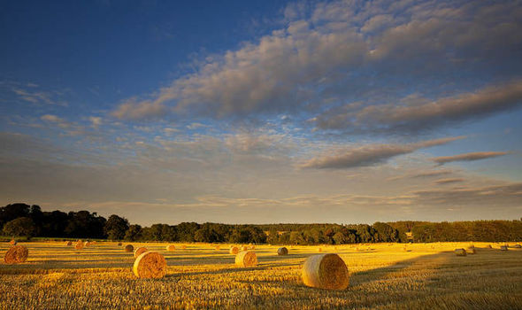 Autumn farming scene