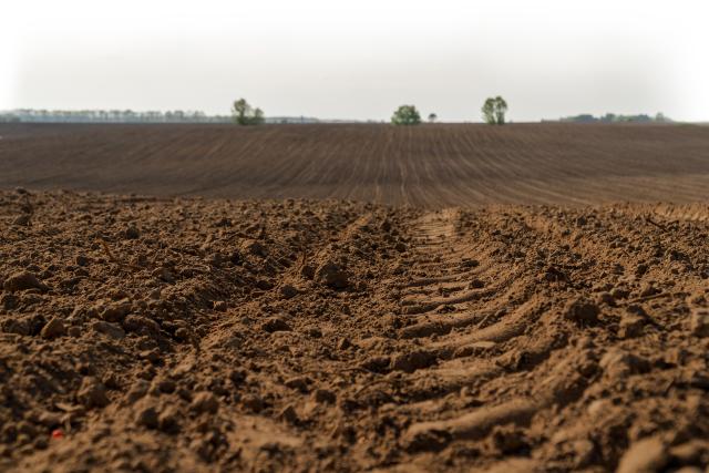 Photograph of bare ploughed field