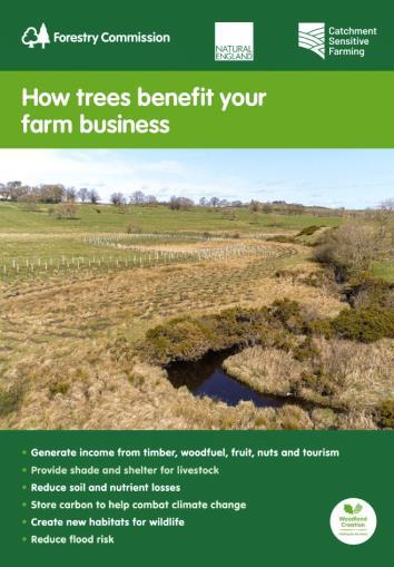 Trees On Farm Leaflet front page