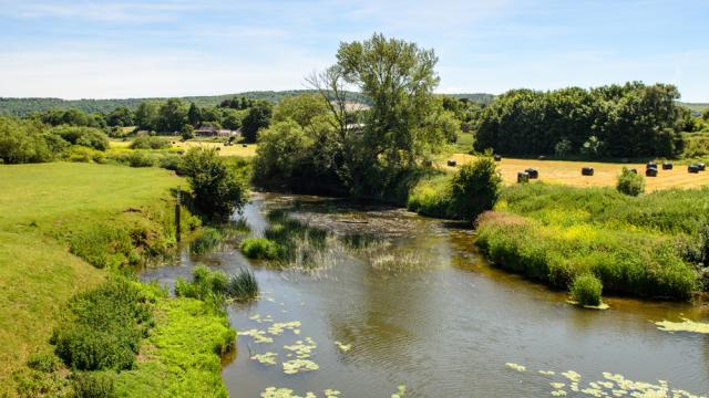 Photo of river in farmland