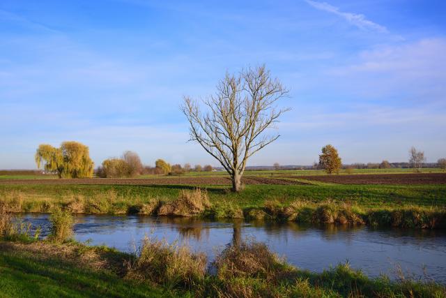 River next to farmland