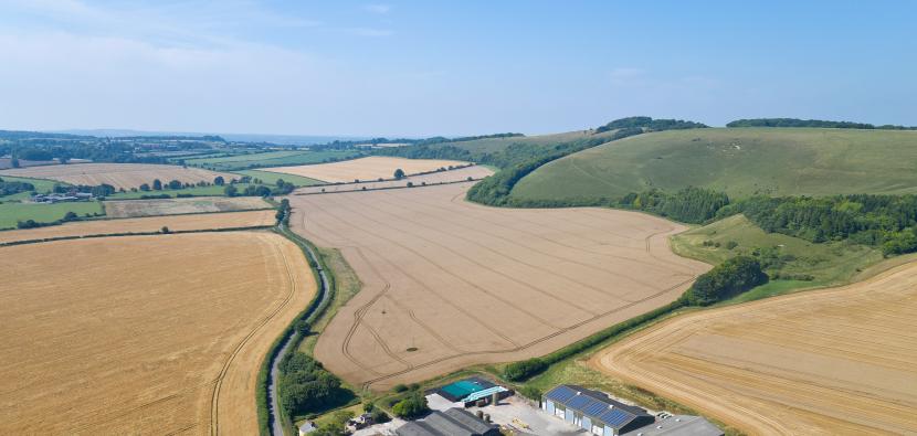 Farm in the middle of harvested fields