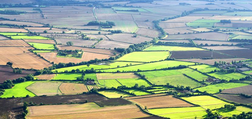 View of arable fields