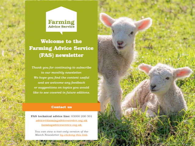 March newsletter front page lambs in field