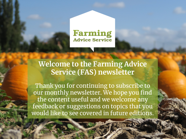 FAS October 24 Newsletter Front page - Pumpkins in a field