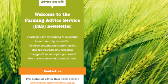June FAS Newsletter Front Page - Barley Field