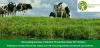 EA logo, doc title and picture of cattle grazing by watercourse