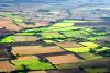 View of arable fields